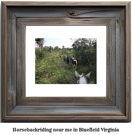 horseback riding near me in Bluefield, Virginia